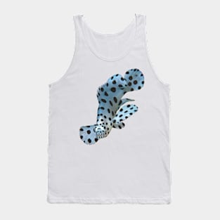 Young fish | Small grouper in the coral reef | Tank Top